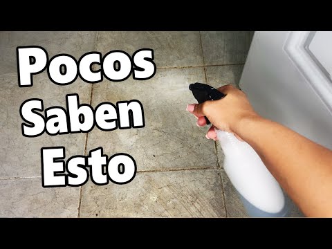 Video: Cómo limpiar la lechada de los azulejos: productos de limpieza profesionales y métodos de limpieza del hogar