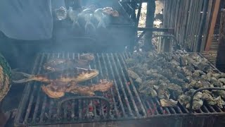 Harvest Talaba Or Oyster In Cebu Philippines Resimi