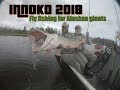 Innoko river. Fly fishing for Alaskan giants.