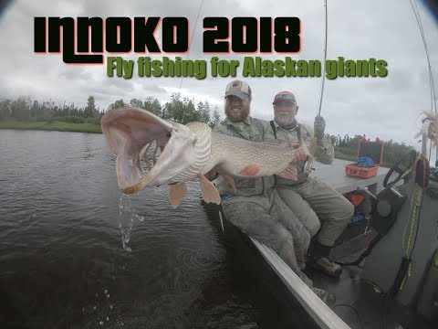 Midnight Sun Trophy Pike Adventures - Far Out Fly Fishing