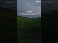 Kata -kata Bijak #motivasi #musikvlog #viralvideo #katakatabijak #persawahan #travel #viral #vlog