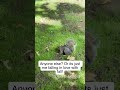 Follow for more #trending #travel #love #fyp #foryou #viral #viralvideo #shorts #explore #peace