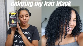 COLORING MY CULY HAIR JET BLACK 🖤 Garnier Olia Box Dye by Brianna Stone 2,848 views 8 months ago 8 minutes, 12 seconds