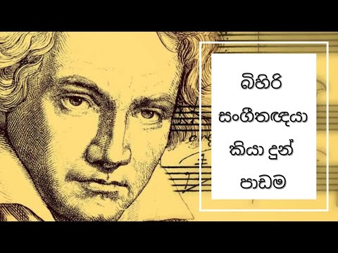 ලුඩ්විග් වෑන් බීතෝවන් | Ludwig van Beethoven