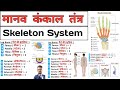 Skeleton system     bones  anatomy and physiology  anatomy in hindi  anatomy notes