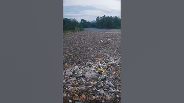 TUMPUKAN SAMPAH KEMBALI MEMENUHI SUNGAI CITARUM SETELAH SEMPAT DI BERSIHKAN KDM #dedimulyadi #kdm