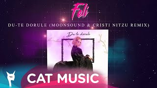 Video thumbnail of "Feli - Du-te dorule (MoonSound & Cristi Nitzu Remix)"