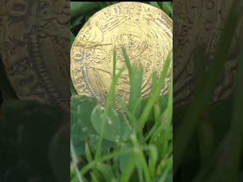 metal detecting gold coin