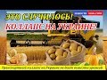 ЭТО СЛУЧИЛОСЬ! ТРАНЗИТНЫЙ КОЛЛАПС НА УКРАИНЕ не дает вывезти урожай