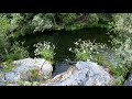 Pescando al Mediodía en 2 pozos con mosquitos ahogados de Leon!!!