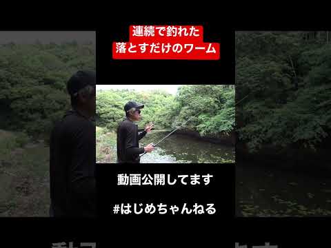 投げて落とすだけの簡単バス釣りワームがコレ！　#shorts #はじめちゃんねる