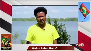 Waloo Lataa Qana'ii Guyyaa Goototaa walaloon faarsa