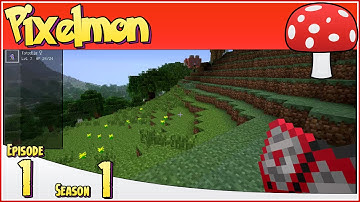 Minecraft Pixelmon - S1 EP1 - Gotta Catch 
