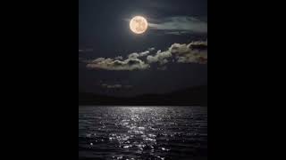 Whatsapp Ucun Maraqli Statuslar,Sevgiye Aid Video,Sounds App Status Ucun Qisa Videolar 2023