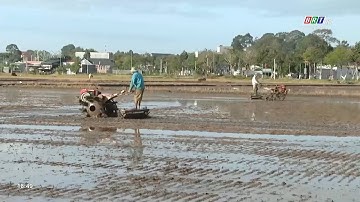 Nông dân BR-VT tập trung xuống giống vụ lúa Đông xuân 2023- 2024 | BRTgo