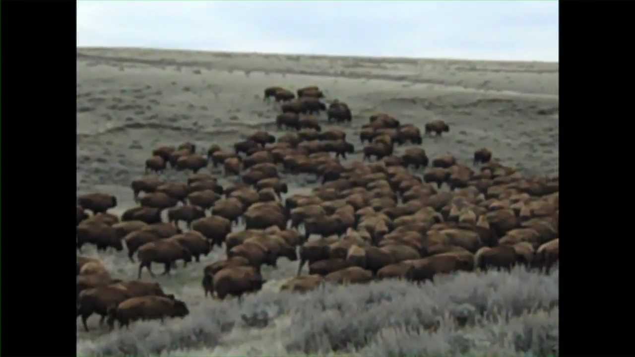 Durham Ranch in Wyoming