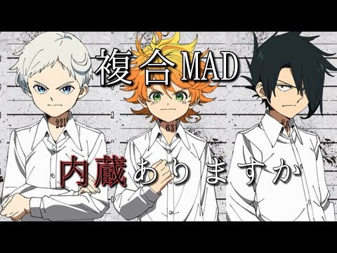 複合MAD×『内臓ありますか』