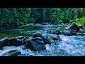 🌧️ Block Out Your Racing Thoughts Tonight, This Soft Stream is Pure Deep Relaxation for You
