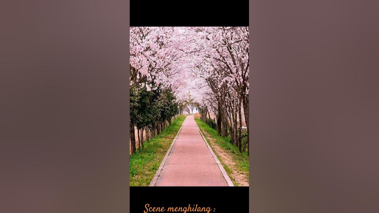 - H Treehouse band🌲- || Congratulations Song|| Animated Singer 🎵🎶|| - H Treehouse band🌲- || Congratulations Song|| Animated Singer 🎵🎶||