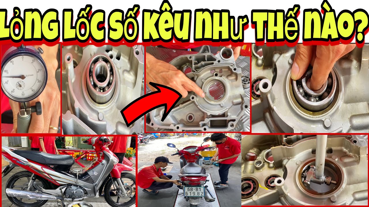 Lỏng Lốc số kêu như thế nào, hệ ghiền xem giải trí ngày Tết 