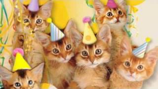 Cute Cats Sing 'Happy Birthday'