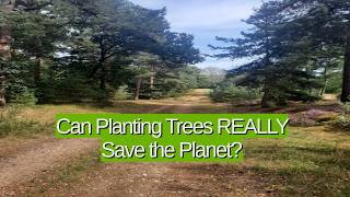 Geoengineering  - Can Planting trees save the planet?