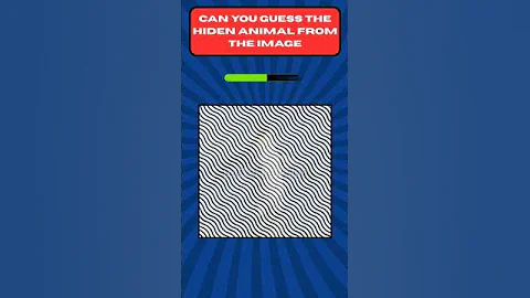 Find the hiden animal | #challenge #guess #shorts #funny