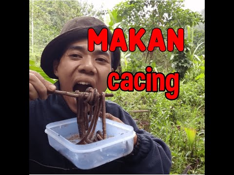 MAKAN CACING TANAH