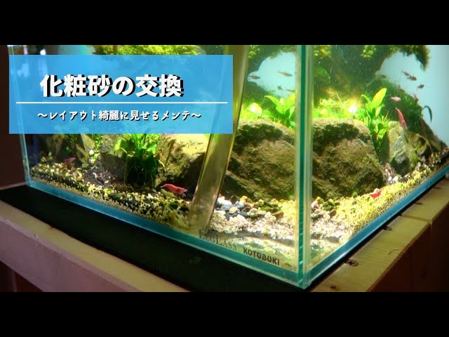 Aquarium] Replace the decorative sand and make the layout neat