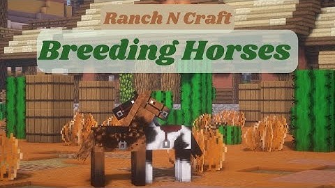 Breeding Horses || Ranch N Craft