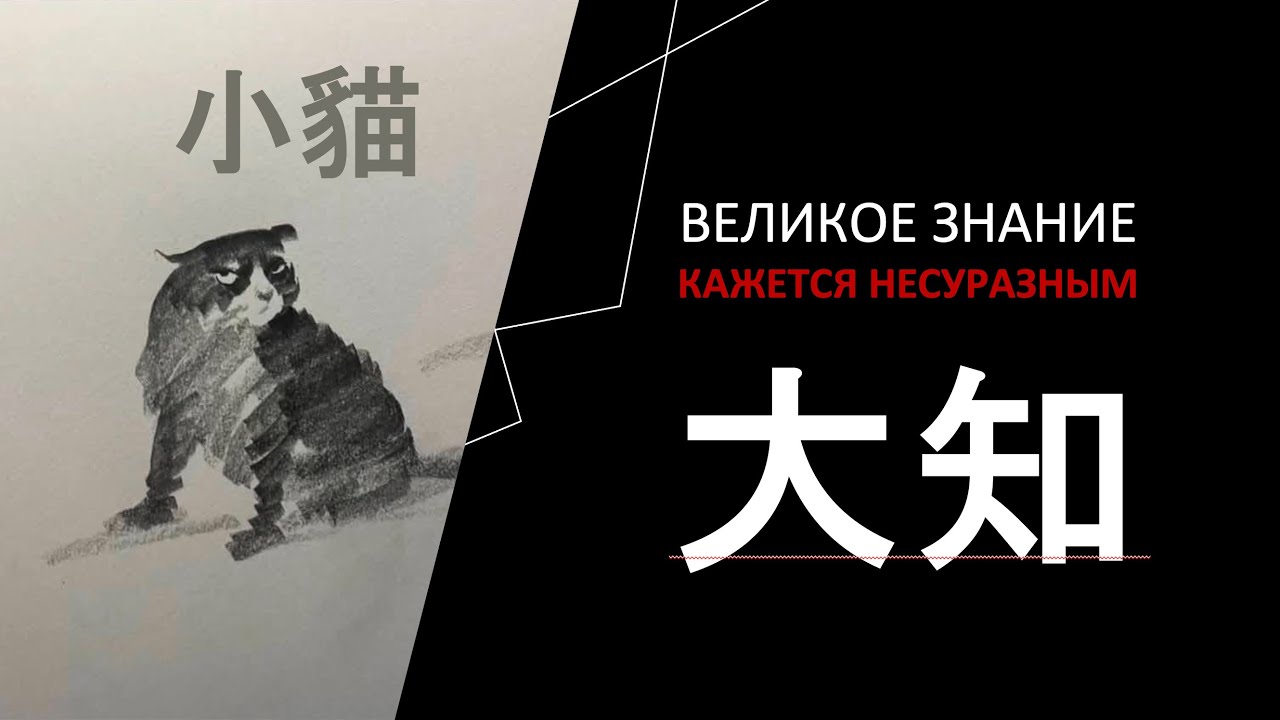 Чжуан-Цзы для котиков: 20 ЛЕТ ШКОЛЕ 