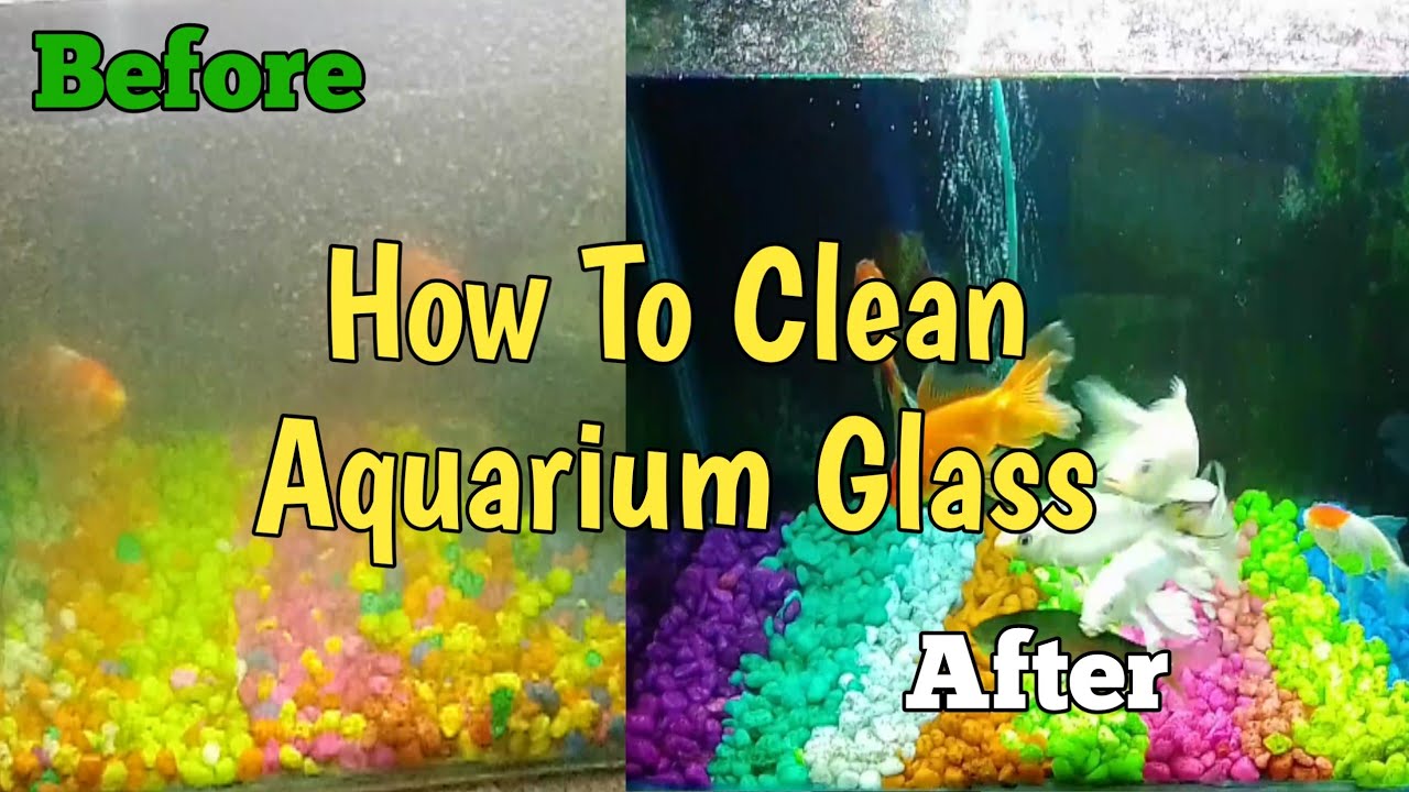 How To Clean Aquarium Glass Hard Water Stains Clean 30 Water