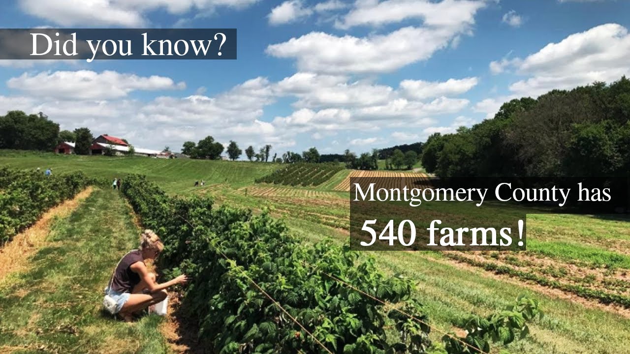 farm tour montgomery county