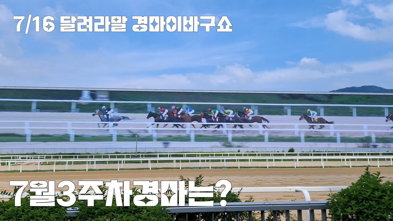 알아서 잘굴러가는 경마! 걱정도 팔자다?(칠월삼주차 경마 벌써돌아왔네?)