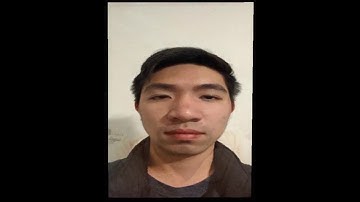 CS 194 Project 3 Bells & Whistles Face Morph