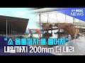 &quot;소 몸통까지 물 들어차&quot;.. 내일까지 200mm 더 내려 | 전주MBC 250718 방송