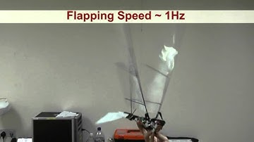 Feb 01, 2012 - Prototype-II Flapping Test