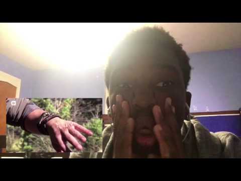 Reacting to BW being quilled by porcupine