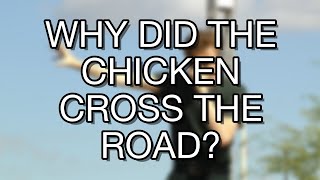 Cg5 Live Performance Why Did The Chicken Cross The Road?