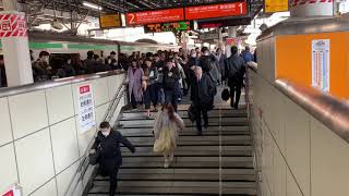 新橋駅 朝の通勤電車(満員電車)から降りた社畜が階段で行列を組んで、渋滞