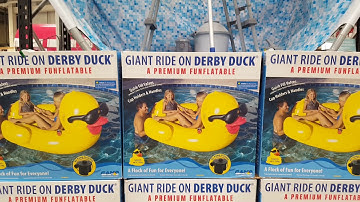 COSTCO! Giant Ride On Derby Duck. Inflatable Pool Duck