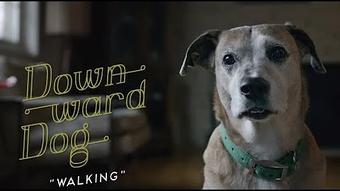 Downward Dog- Cute dog