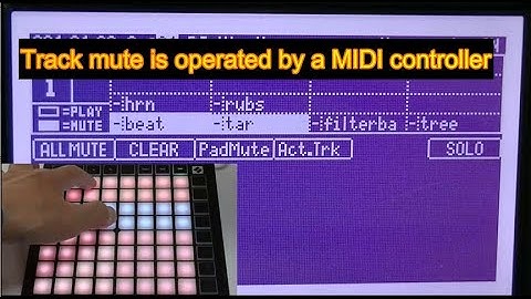 How to operate track mute by a MIDI controller  MPC1000 & MPC2500