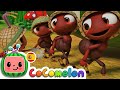 CoComelon en Español | La marcha de las hormigas | Canciones Infantiles