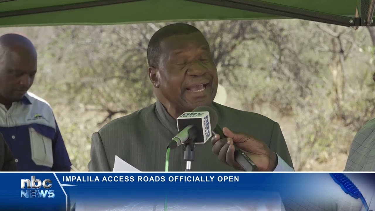 Impalila Island access roads officially open - nbc