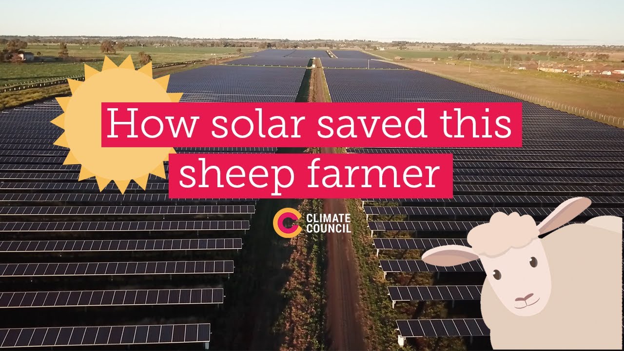 How solar saved this sheep farmer