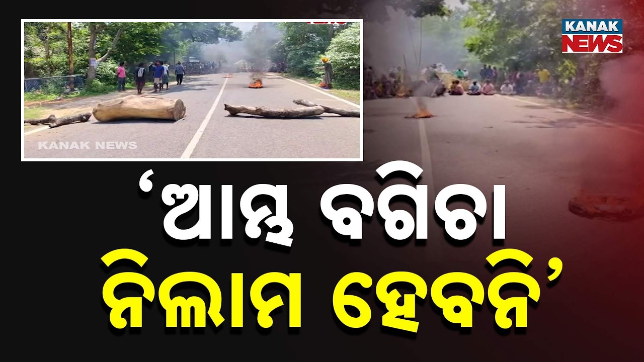 Road Blockade in Baripada Over Mango Orchard Auction Dispute | Odisha News