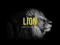 Lion (feat.Chris Brown & Brandon Lake) - Elevation Worship | Instrumental Worship | Deep Prayer