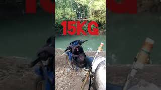 Paser Mania Kakap Monster Kakap Putih Babon