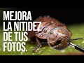 MEJORA LA NITIDEZ DE TUS FOTOS 📷 5 puntos claves para que las fotos queden mucho más nitidas